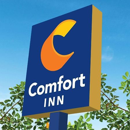 Comfort Inn Martinsville Luaran gambar